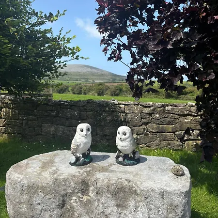 The Burren Mill House Appartement *