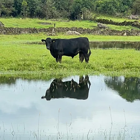 Appartement The Burren Mill House *
