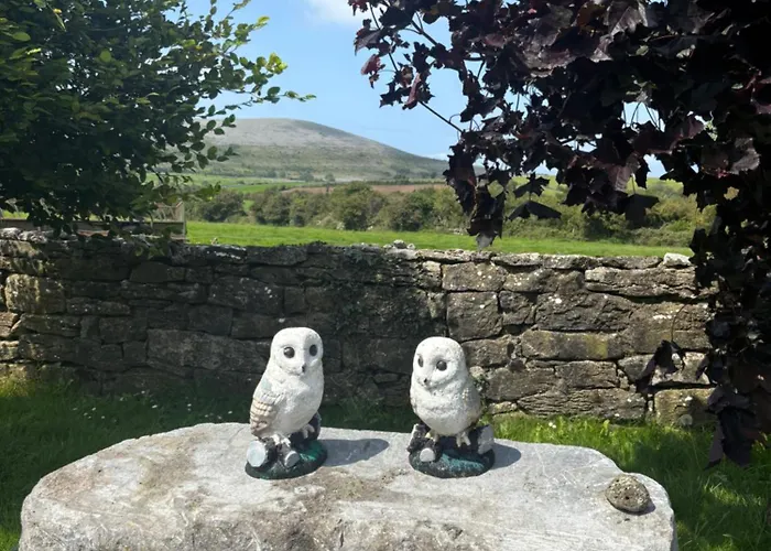 The Burren Mill House Lägenhet *